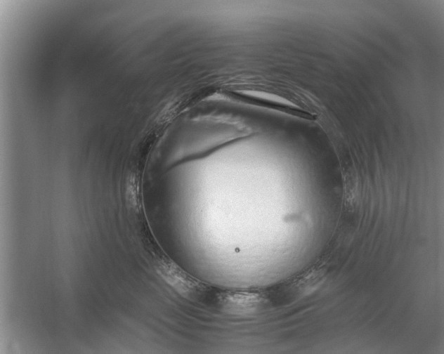 X0000058130669200510072007