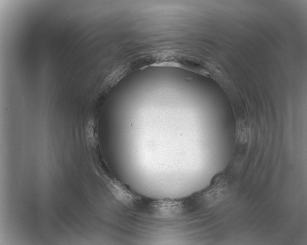 X0000058130670200510072007