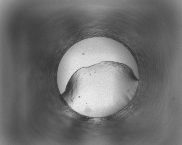 X0000058130672200510072007