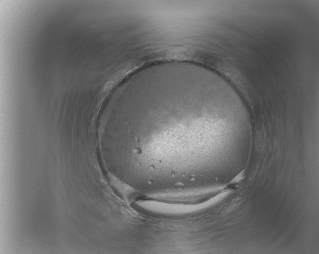 X0000058130673200510072006