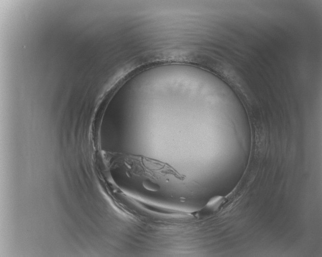 X0000058130674200510072006