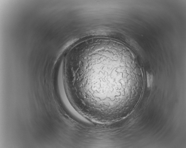 X0000058130675200510072006