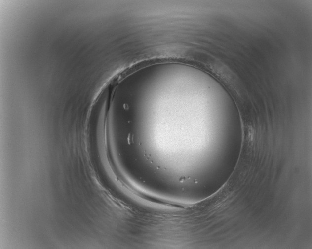 X0000058130676200510072006