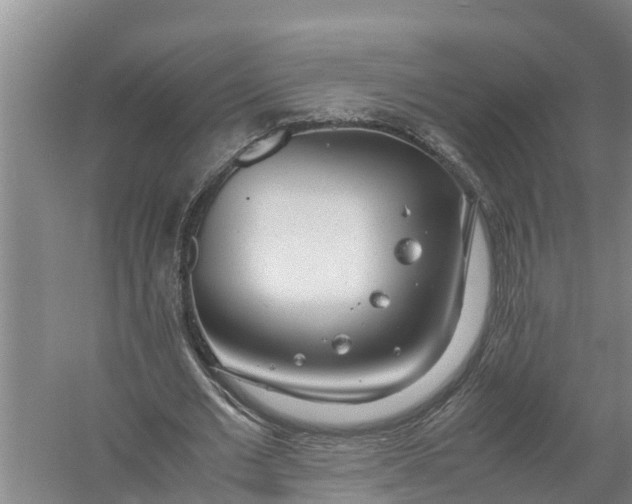 X0000058130677200510072006