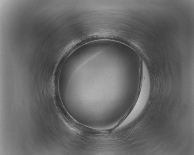 X0000058130678200510072006