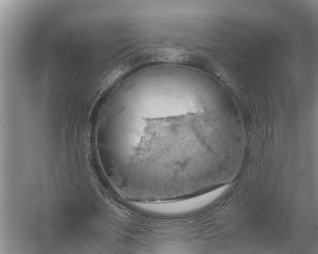 X0000058130679200510072006