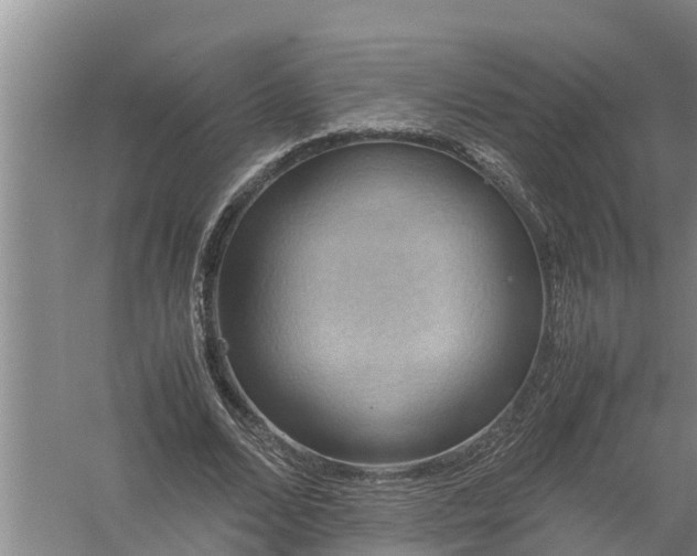 X0000058130680200510072006