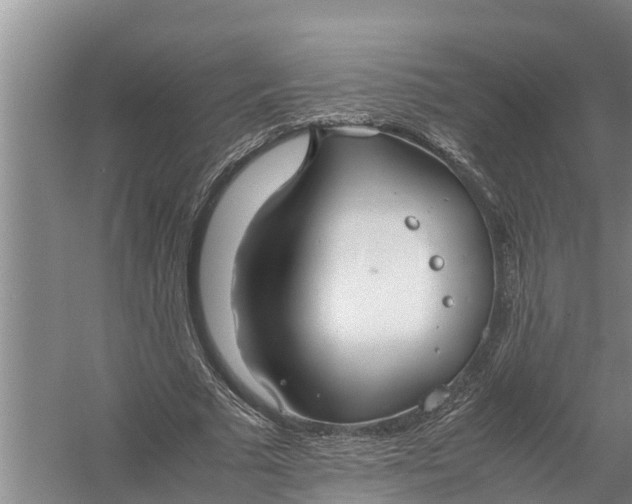 X0000058130681200510072006