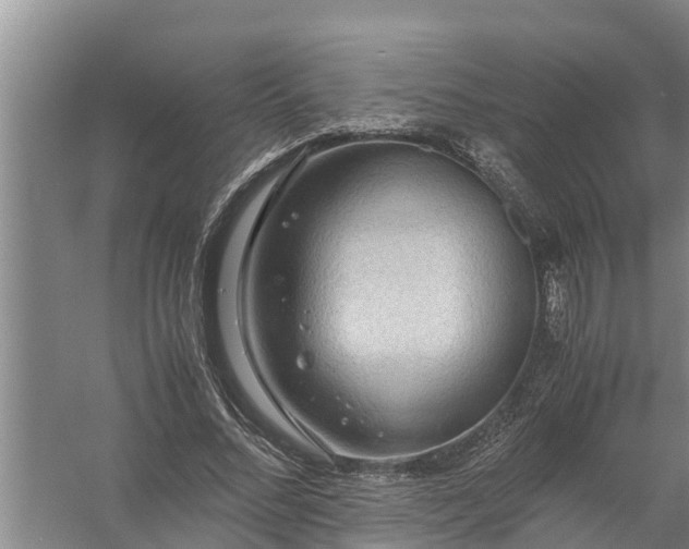 X0000058130684200510072006