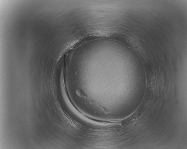 X0000058130688200510072006