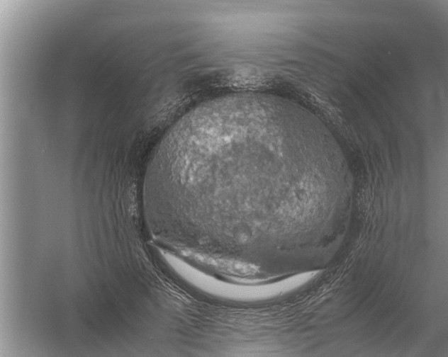 X0000058130689200510072006