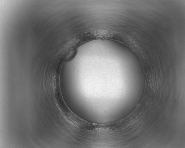 X0000058130690200510072006