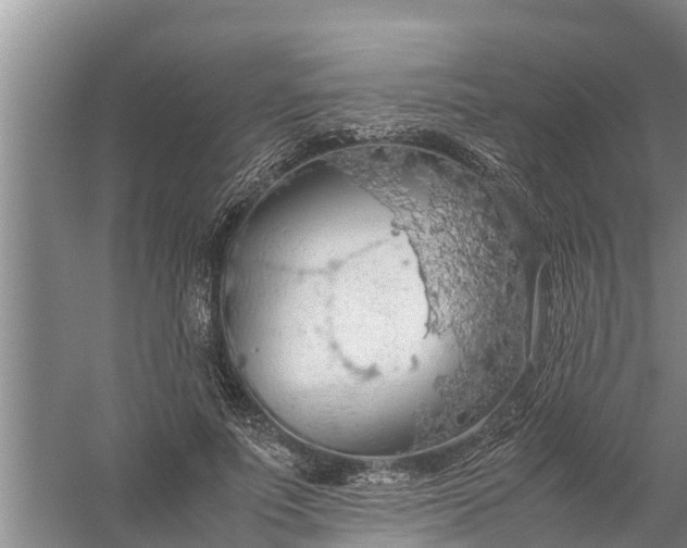 X0000058130691200510072006