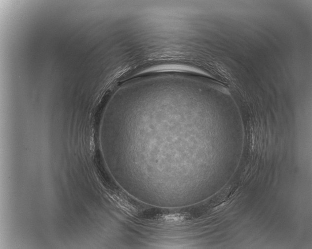 X0000058130692200510072006