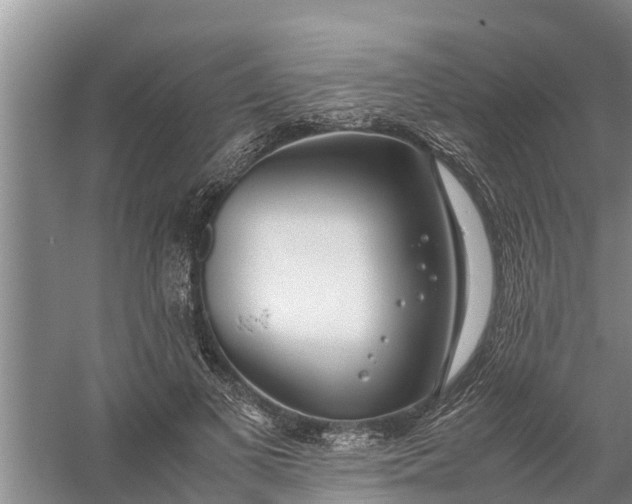 X0000058130693200510072006