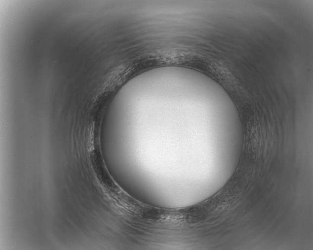 X0000058130694200510072005