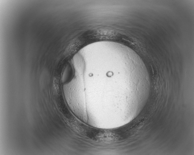 X0000058130695200510072005