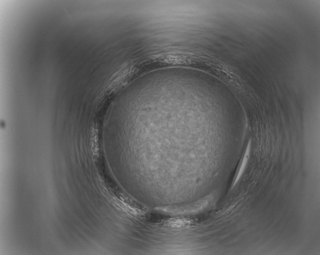 X0000058130696200510072005