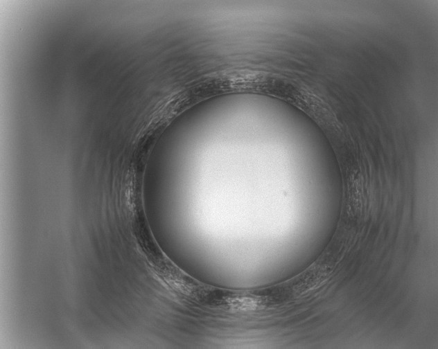 X0000058130698200510072005