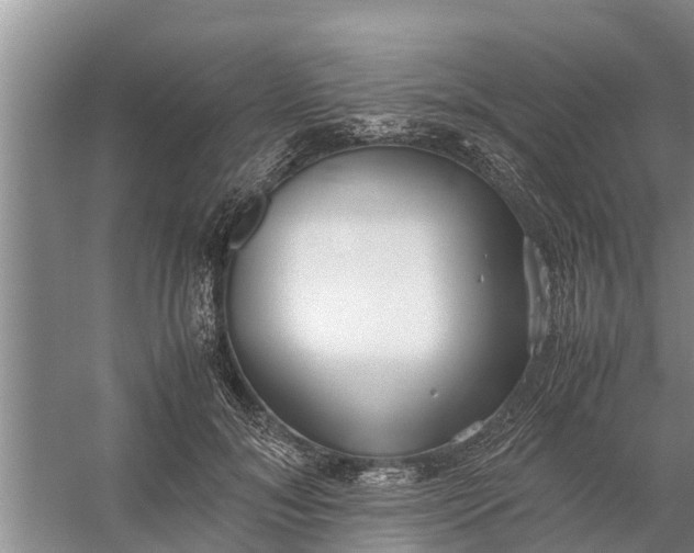 X0000058130700200510072005