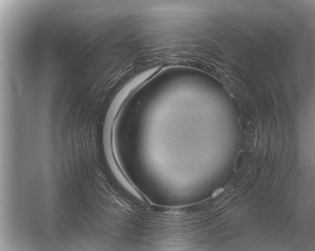 X0000058130704200510072005