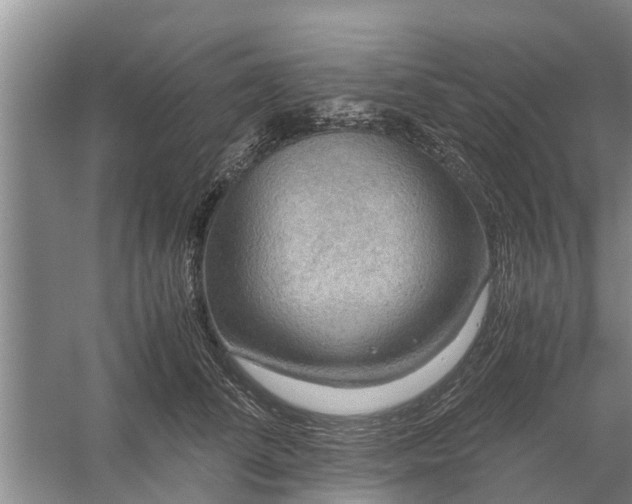 X0000058130708200510072005