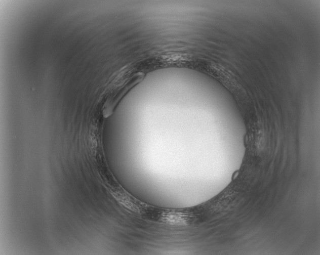 X0000058130710200510072005