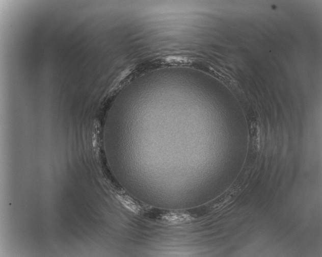 X0000058130712200510072005