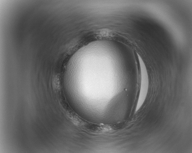 X0000058130715200510072005