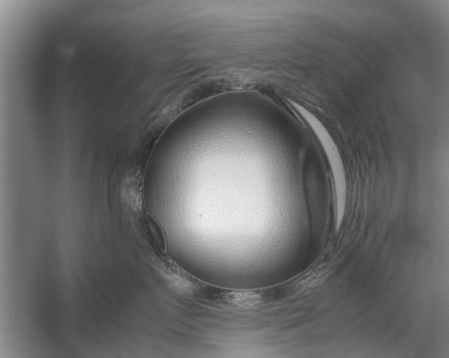 X0000058130719200510072005