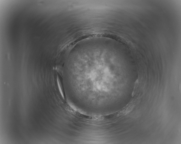 X0000058130720200510072005