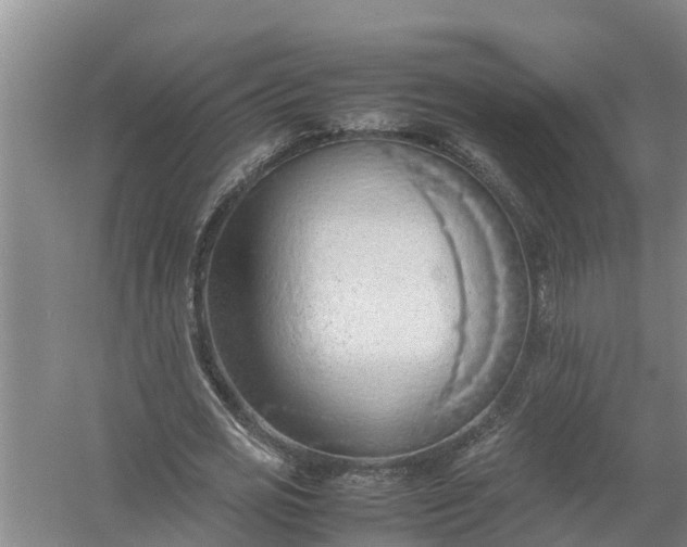 X0000058130725200510072004