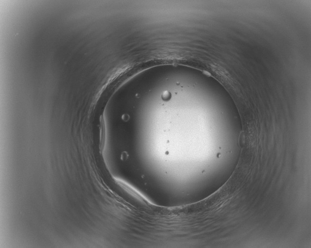 X0000058130731200510072004