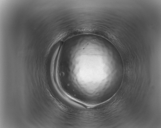 X0000058130735200510072004