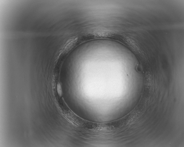 X0000058130738200510072005