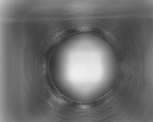 X0000058130741200510072005