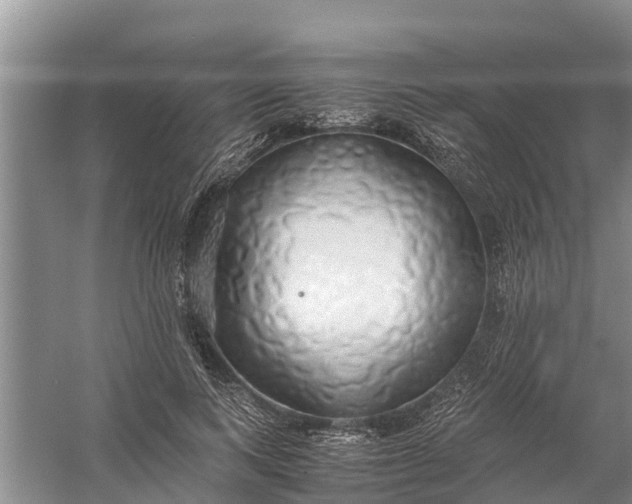 X0000058130743200510072005