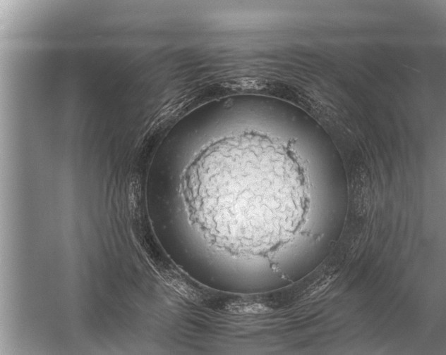 X0000058130747200510072005