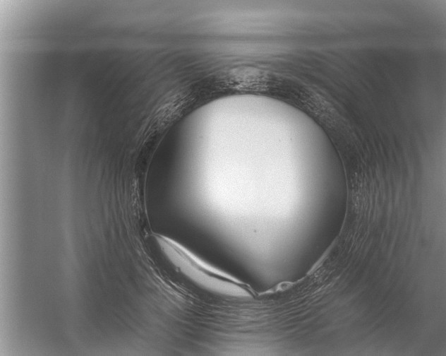 X0000058130748200510072005