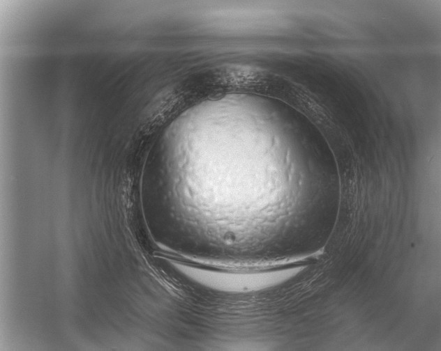 X0000058130750200510072005