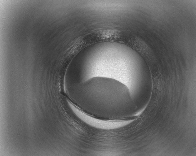 X0000058130754200510072005