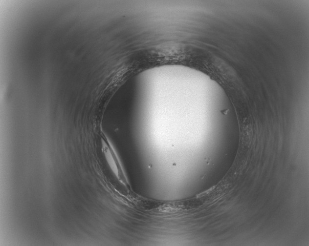 X0000058130756200510072005