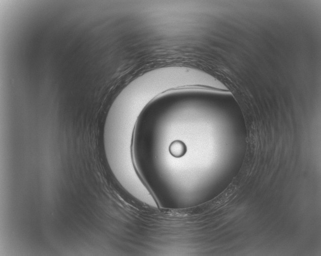 X0000058130760200510072005