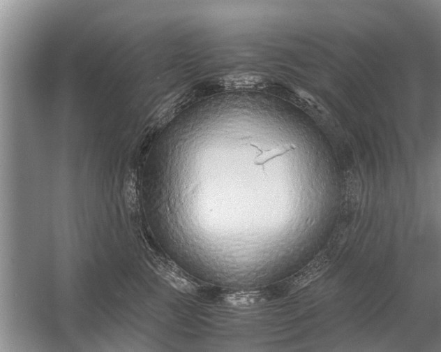 X0000058130761200510072005