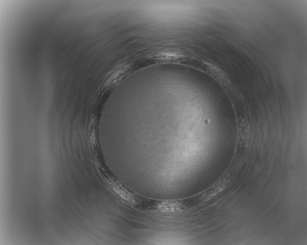 X0000058130762200510072005