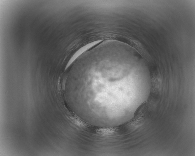 X0000058130765200510072005