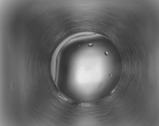 X0000058130766200510072005