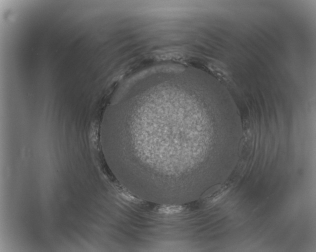 X0000058130767200510072005