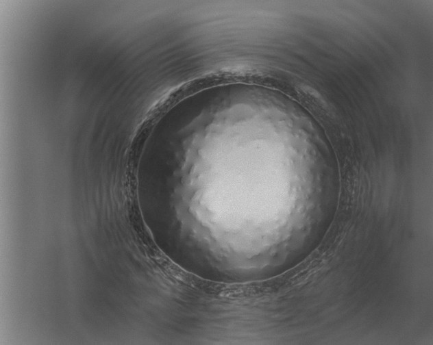 X0000058130776200510072004