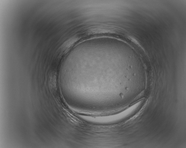 X0000058130777200510072004